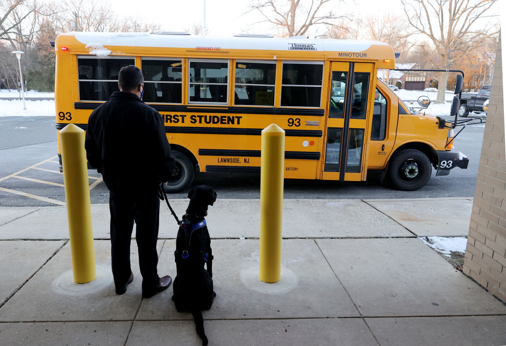 Wally Therapy Dog
